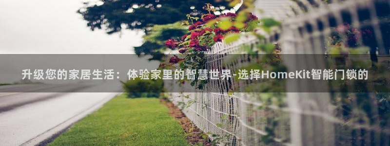 开丰娱乐官网最新消息：升级您的家居生活：体验家里的智慧世界-