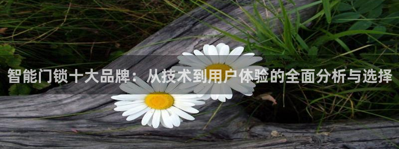 开丰娱乐官网平台电话