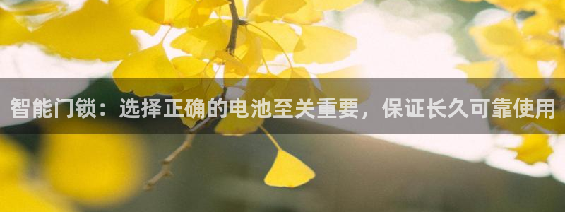 开丰娱乐官网首页：智能门锁：选择正确的电池至关重要，保证长久