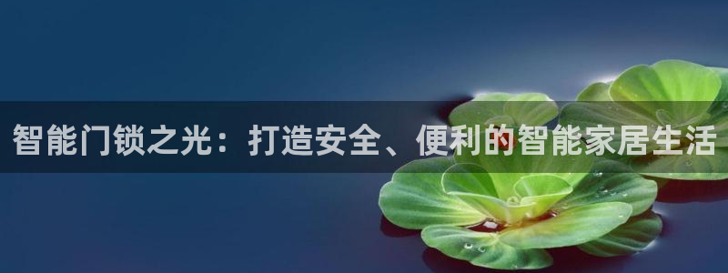 开丰娱乐咋7O777：智能门锁之光：打造安全、便利的智能家居