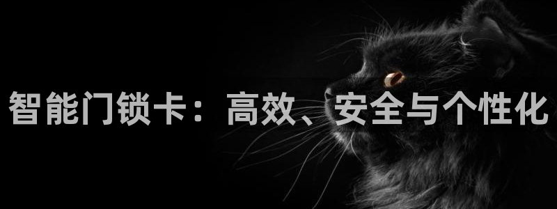 开丰娱乐登入地址：智能门锁卡：高效、安全与个性化