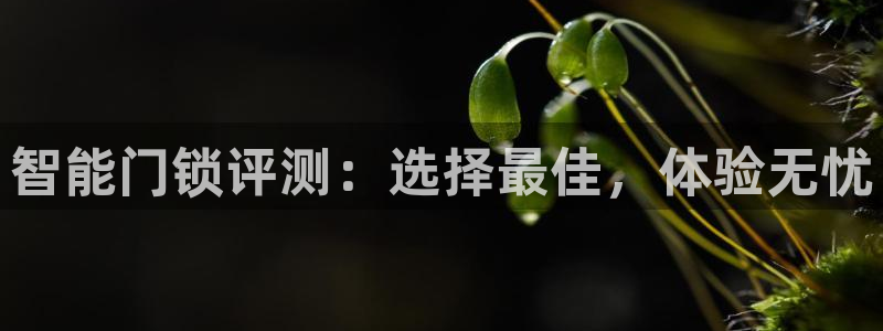 开丰娱乐主管家去判官333OO：智能门锁评测：选择最佳，体验