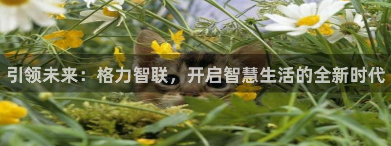 开丰娱乐线路：引领未来：格力智联，开启智慧生活的全新时代