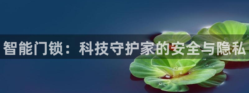 开丰娱乐网站官网首页：智能门锁：科技守护家的安全与隐私