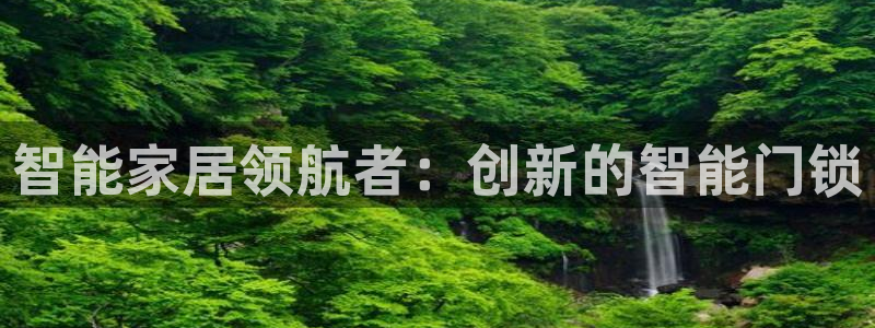 开丰娱乐注册资金多少：智能家居领航者：创新的智能门锁