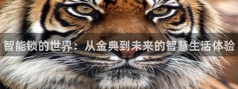 开丰娱乐于六七五一38：智能锁的世界：从金典到未来的智慧生活