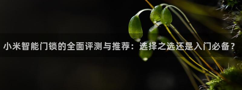 开丰娱乐登录：小米智能门锁的全面评测与推荐：选择之选还是入门
