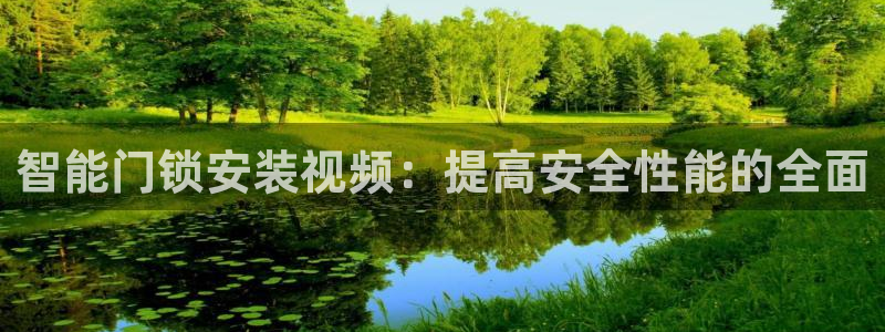 圩丰刚开的娱乐场所：智能门锁安装视频：提高安全性能的全面