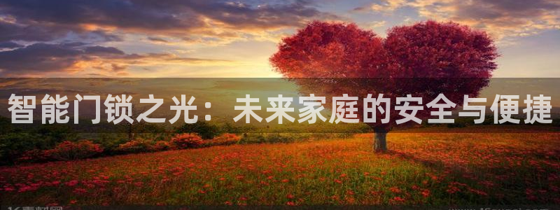 开丰娱乐地址查询：智能门锁之光：未来家庭的安全与便捷