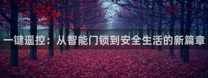 开丰娱乐注册电7O777：一键遥控：从智能门锁到安全生活的新