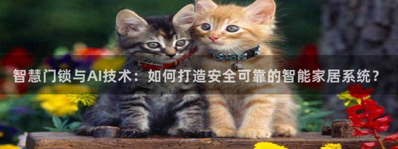 开丰娱乐登入：智慧门锁与AI技术：如何打造安全可靠的智能家居