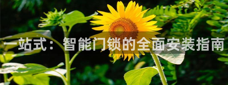 开丰娱乐网站：一站式：智能门锁的全面安装指南