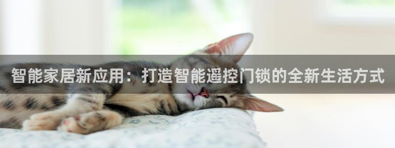 开丰娱乐官网登录网址：智能家居新应用：打造智能遥控门锁的全新
