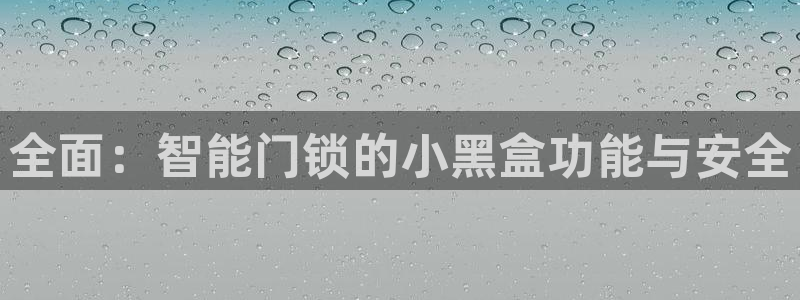 开丰娱乐日：全面：智能门锁的小黑盒功能与安全