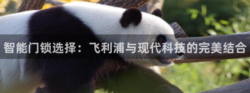 开丰娱乐前：智能门锁选择：飞利浦与现代科技的完美结合