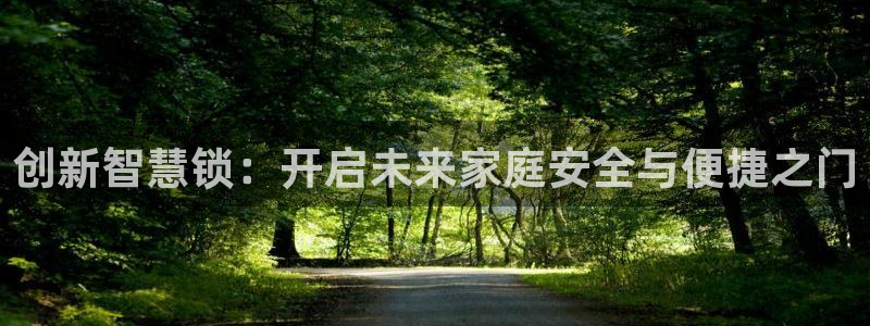 开丰娱乐注册登录：创新智慧锁：开启未来家庭安全与便捷之门