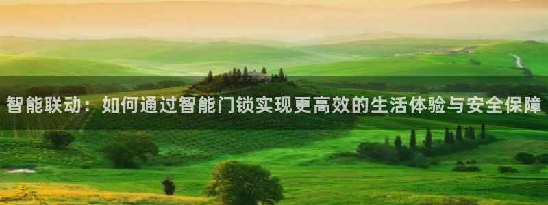 开丰娱乐登入地址在哪儿：智能联动：如何通过智能门锁实现更高效