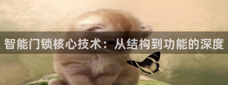 开丰娱乐：智能门锁核心技术：从结构到功能的深度