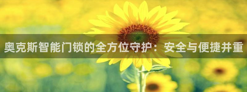 开丰娱乐登陆：奥克斯智能门锁的全方位守护：安全与便捷并重