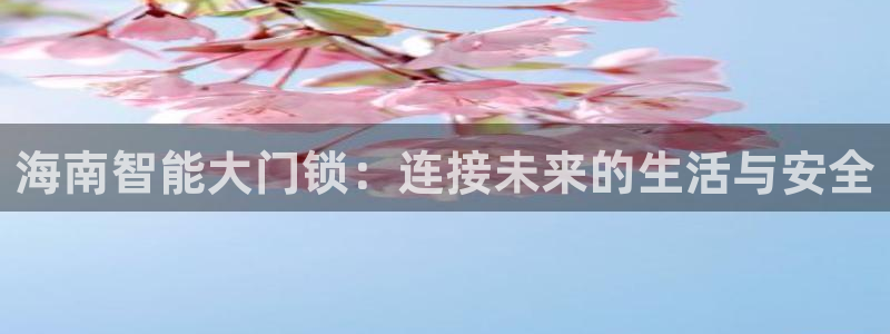 开丰娱乐会员中心：海南智能大门锁：连接未来的生活与安全