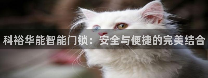 开丰娱乐平台登录：科裕华能智能门锁：安全与便捷的完美结合