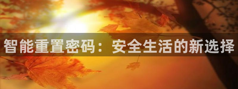 圩丰刚开的娱乐场所：智能重置密码：安全生活的新选择