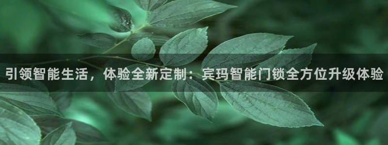 开丰娱乐山67五壹叁八：引领智能生活，体验全新定制：宾玛智能