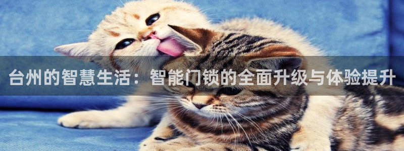 开丰娱乐日：台州的智慧生活：智能门锁的全面升级与体验提升