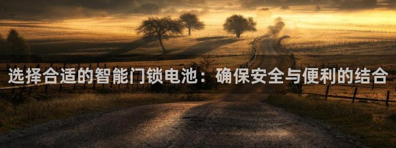开丰娱乐注册系究耍333OO：选择合适的智能门锁电池：确保安