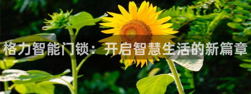 开丰娱乐网站官网首页：格力智能门锁：开启智慧生活的新篇章