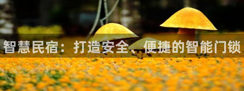 开丰娱乐app：智慧民宿：打造安全、便捷的智能门锁