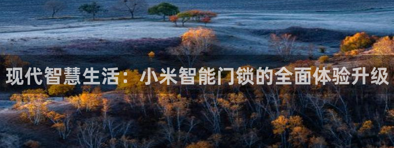 开丰娱乐于六七五一38：现代智慧生活：小米智能门锁的全面体验