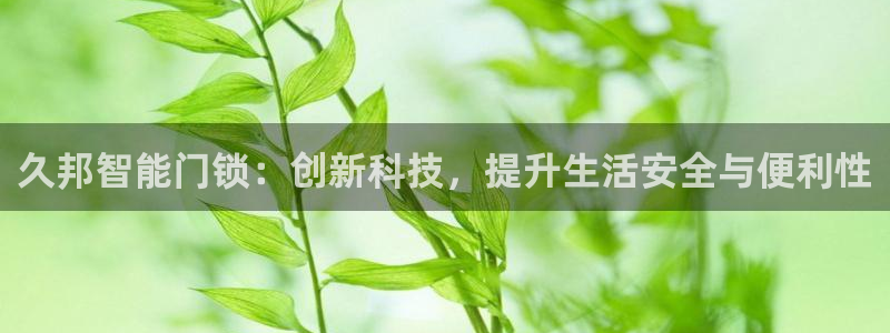 开丰娱乐上：久邦智能门锁：创新科技，提升生活安全与便利性