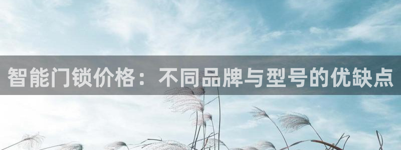 开丰娱乐千67五壹叁八：智能门锁价格：不同品牌与型号的优缺点