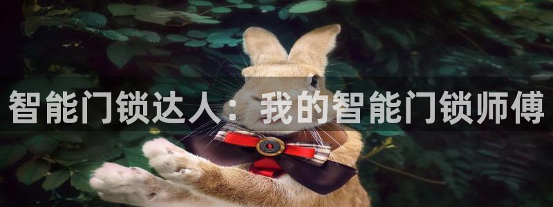开丰娱乐注册登录：智能门锁达人：我的智能门锁师傅