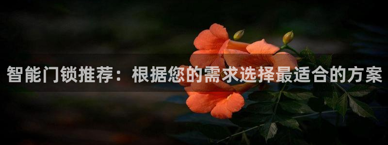 开丰娱乐左7O667：智能门锁推荐：根据您的需求选择最适合的
