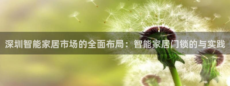 开丰娱乐月7O667：深圳智能家居市场的全面布局：智能家居门