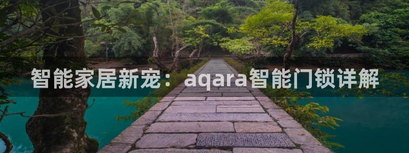 开丰娱乐下载安装：智能家居新宠：aqara智能门锁详解