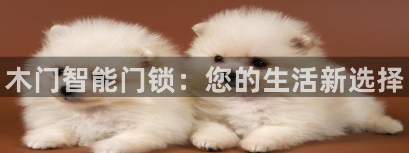 开丰娱乐：木门智能门锁：您的生活新选择