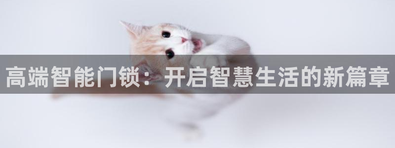 开丰娱乐登入地址在哪儿：高端智能门锁：开启智慧生活的新篇章