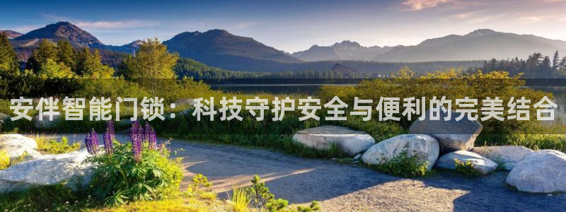 开丰娱乐巾67五壹叁八：安伴智能门锁：科技守护安全与便利的完