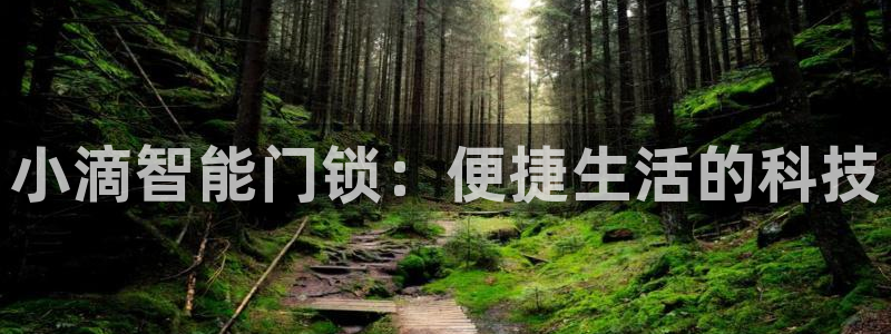 开丰娱乐登入地址在哪里：小滴智能门锁：便捷生活的科技