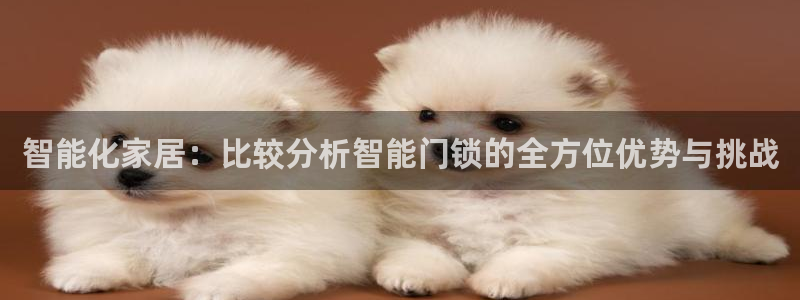 开丰娱乐注册：智能化家居：比较分析智能门锁的全方位优势与挑战