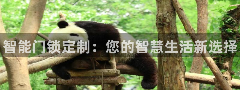 开丰娱乐左：智能门锁定制：您的智慧生活新选择
