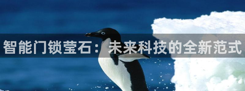 开丰娱乐官网首页：智能门锁莹石：未来科技的全新范式