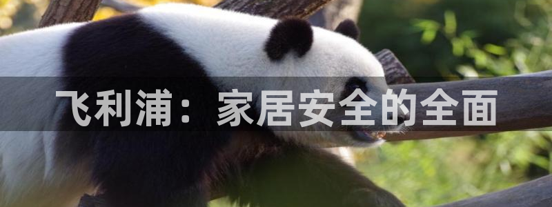 开丰娱乐咋7O777：飞利浦：家居安全的全面