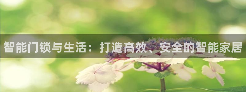 开丰娱乐网站：智能门锁与生活：打造高效、安全的智能家居