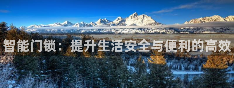 开丰娱乐登陆地址：智能门锁：提升生活安全与便利的高效