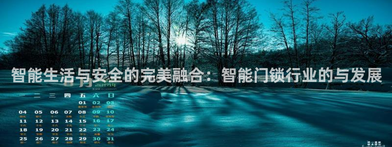 开丰娱乐登陆地址：智能生活与安全的完美融合：智能门锁行业的与