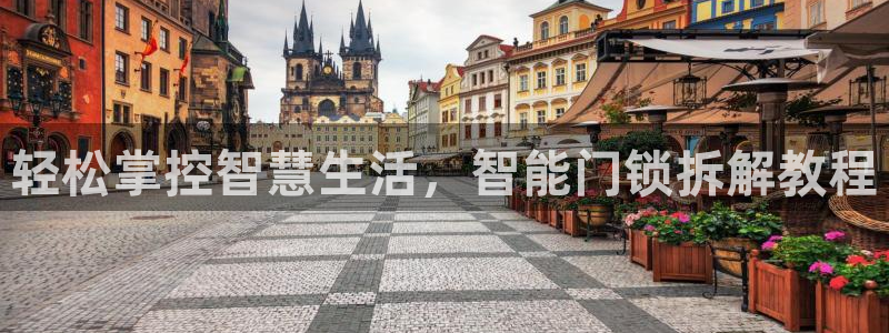 开丰娱乐注册资金多少：轻松掌控智慧生活，智能门锁拆解教程